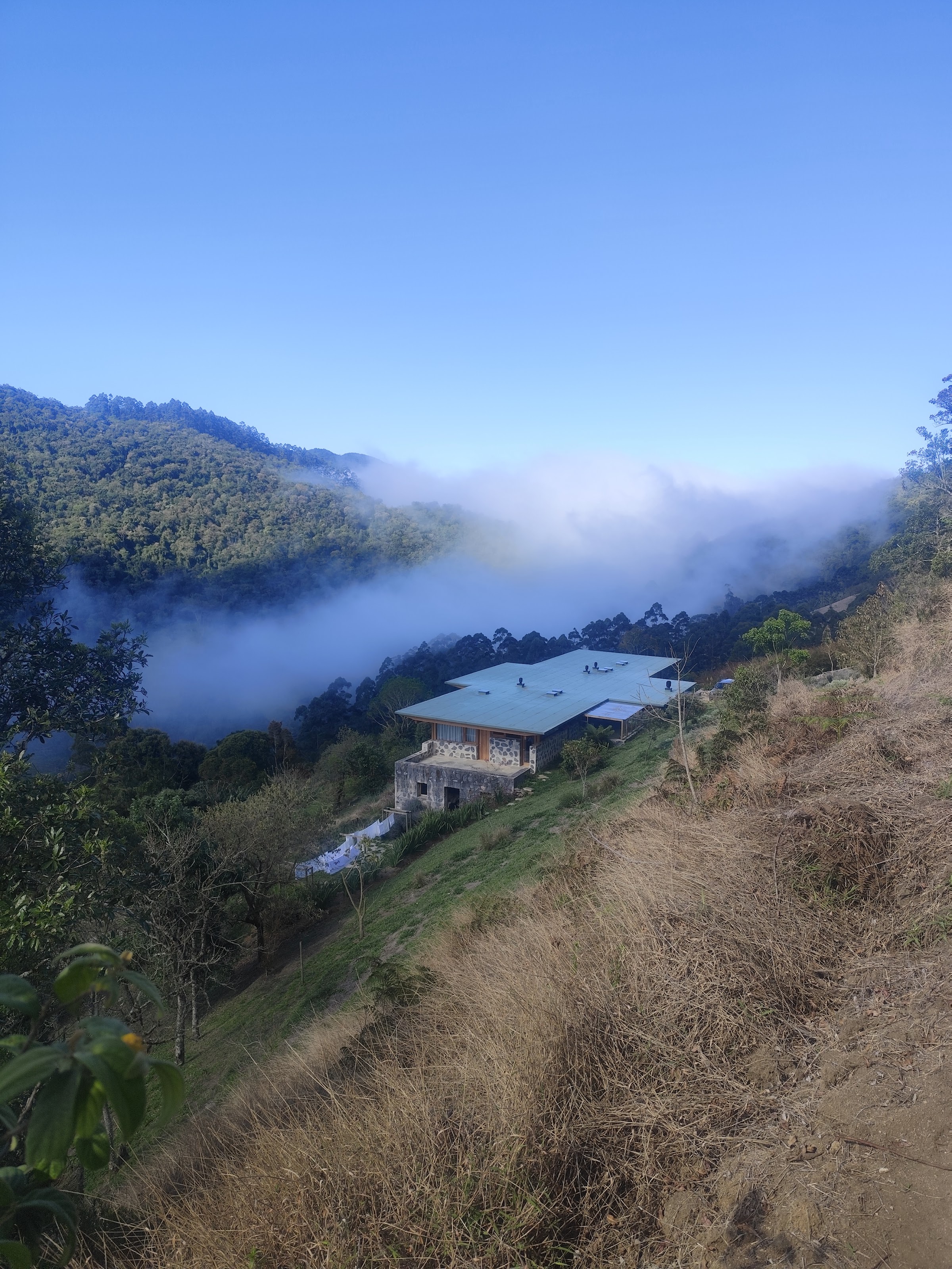 Casa 23.44 na encosta, entre a mata e a neblina da Serra da Bocaina