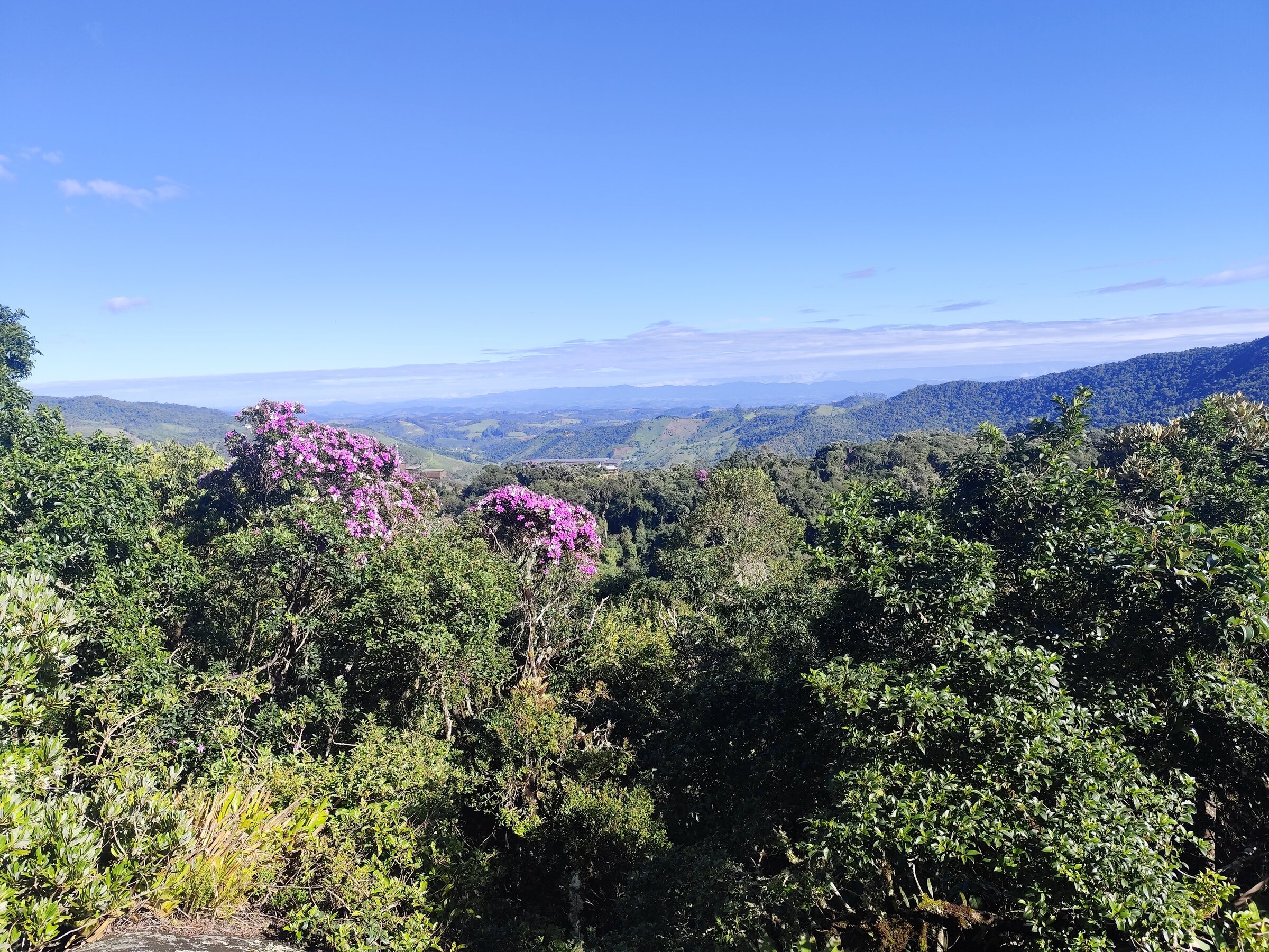 Vista da Pedra Vermelha sobre a Mata Atlântica